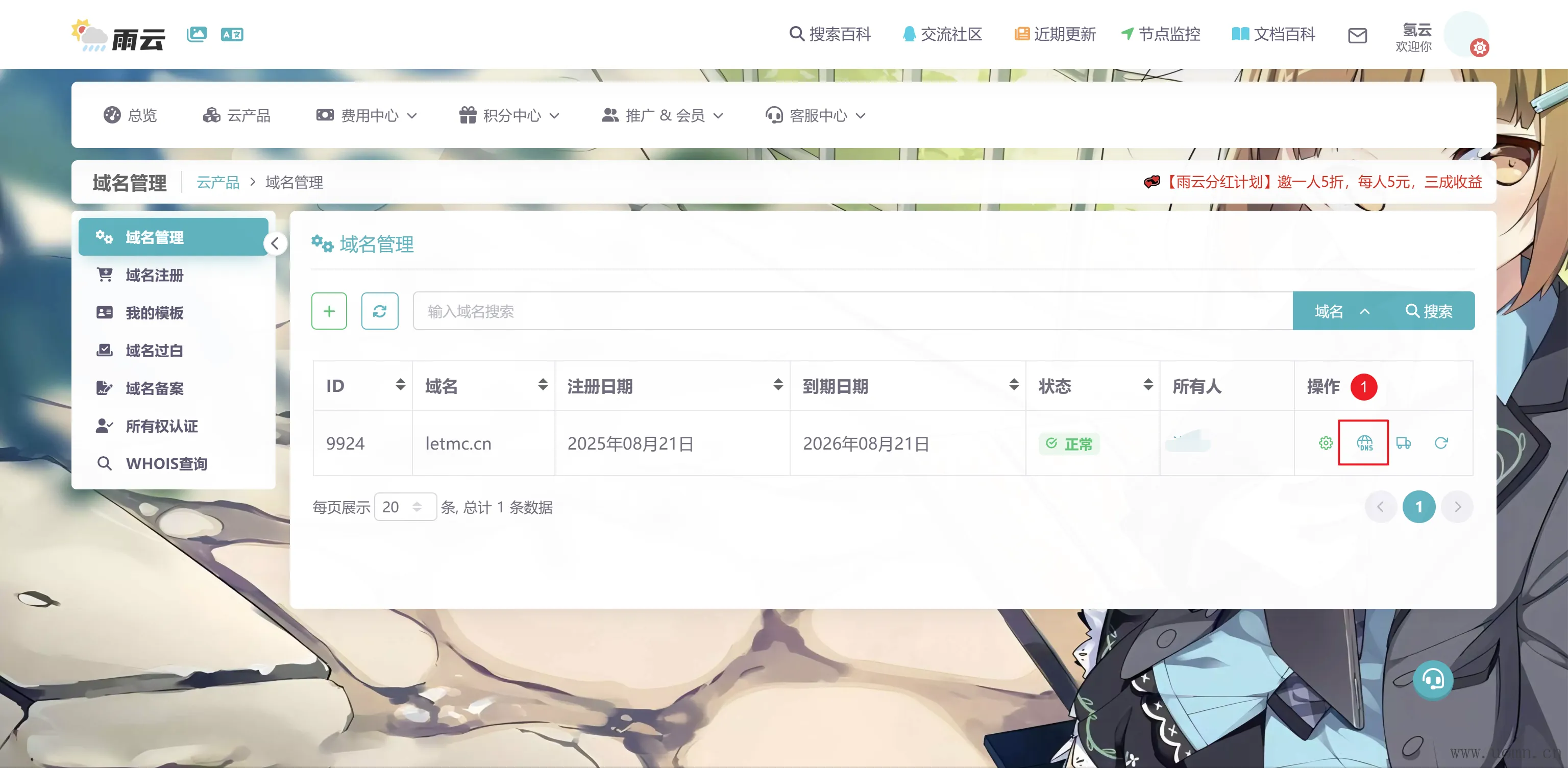 域名解析示意